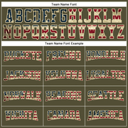 Custom Olive Vintage USA Flag-Cream Long Sleeve Performance Salute To Service T-Shirt