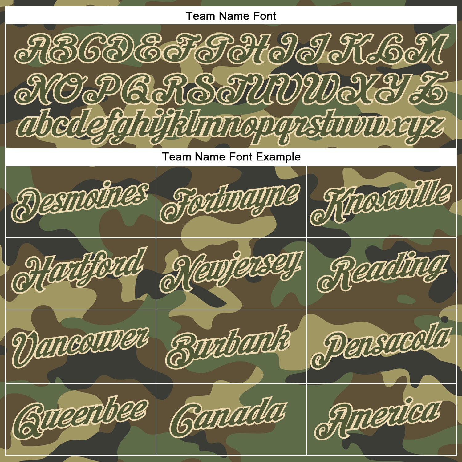 Custom Camo Olive-City Cream Performance Salute To Service T-Shirt
