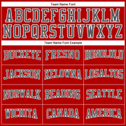 Custom Red Steel Gray-White Long Sleeve Performance T-Shirt