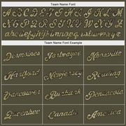 Custom Olive Camo-Black Performance Salute To Service T-Shirt