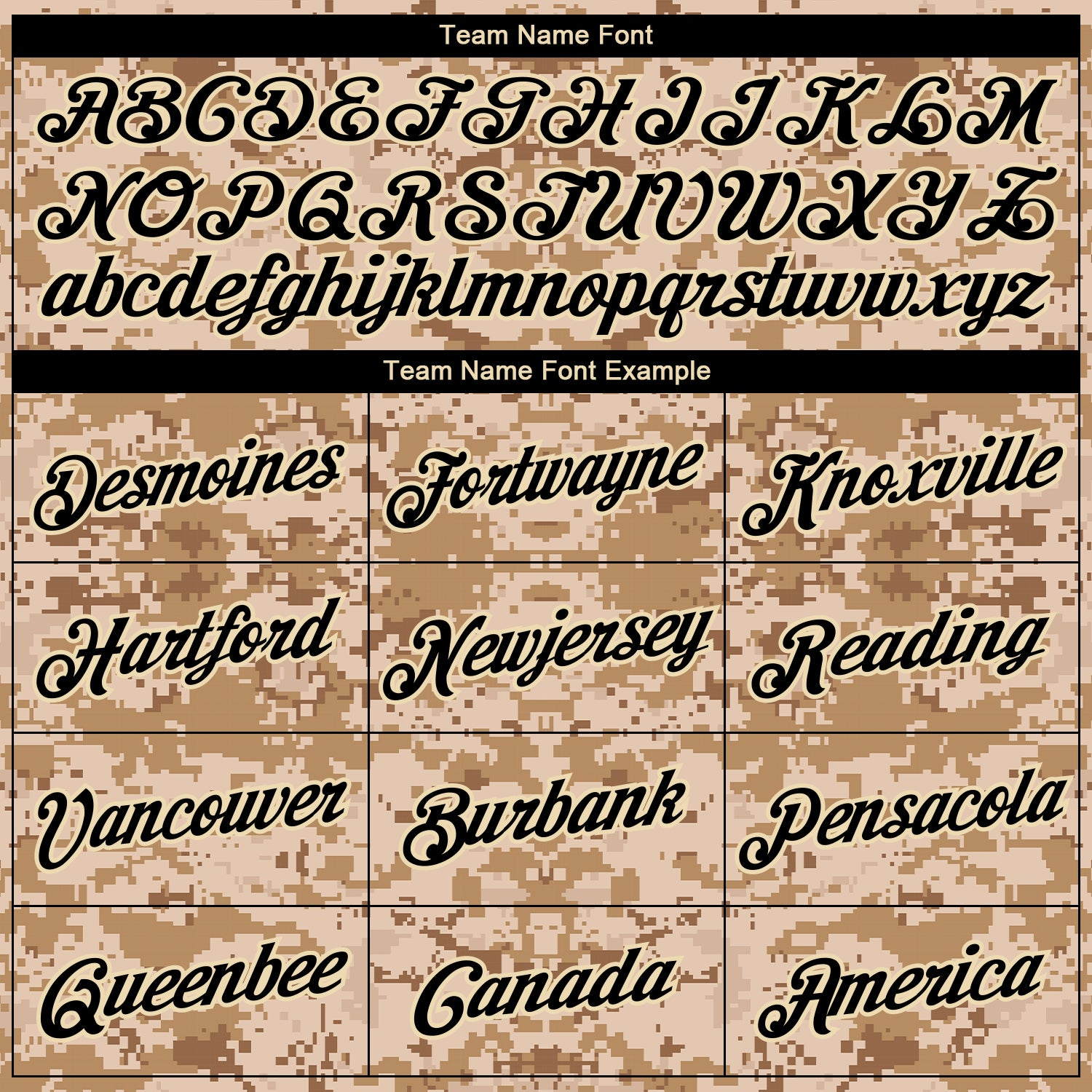 Custom Camo Black-Cream Salute To Service Long Sleeve Performance T-Shirt