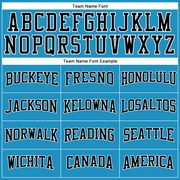 Custom Panther Blue Black-White Long Sleeve Performance T-Shirt