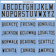 Custom Light Blue Black-White Long Sleeve Performance T-Shirt