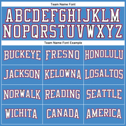 Custom Powder Blue Pink Black-White Long Sleeve Performance T-Shirt