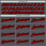 Custom Steel Gray Red-Black Performance T-Shirt