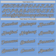 Custom Powder Blue Gray-Steel Gray Authentic Baseball Jersey