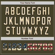 Custom Olive Vintage USA Flag-Black Authentic Two Tone Salute To Service Baseball Jersey