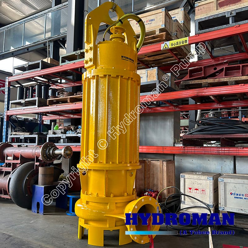 submersible sea water pump for Praw farm