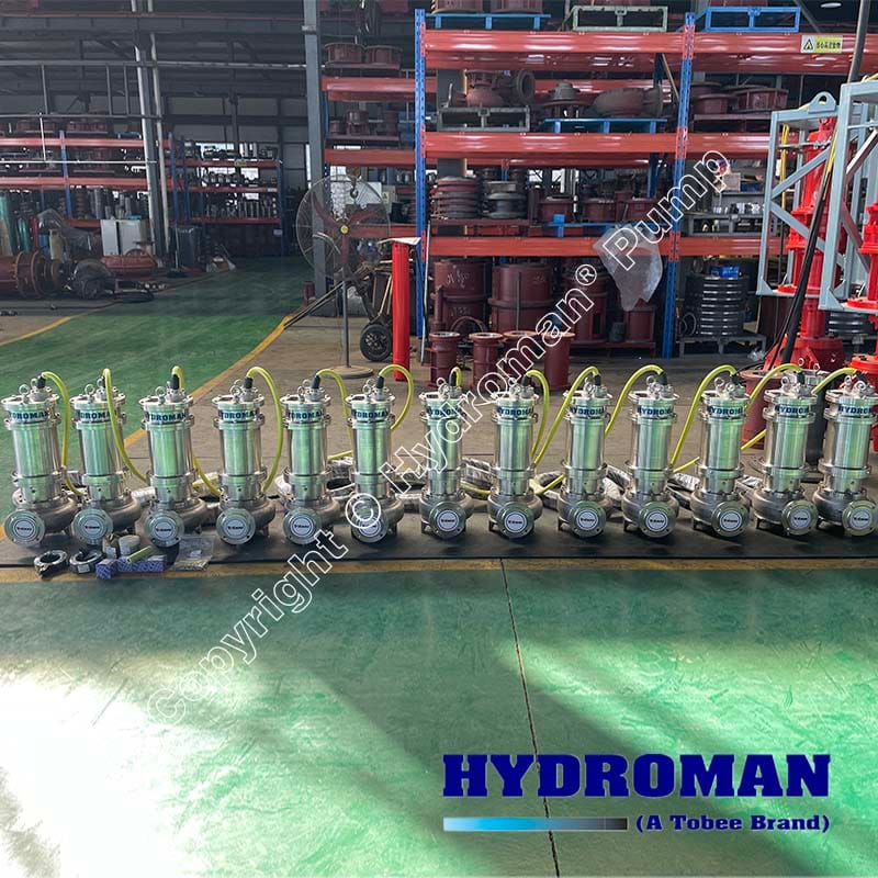 Submersible Vertical Pump
