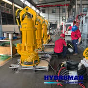 Durable Vertical Pump with Electric Agitator for Water Control