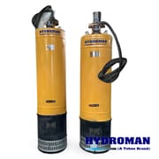 Vertical Submersible Sewage Pumps for Light Industrial Us