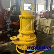 Heavy Duty Electric Agitator Pump for Mineral Slurry
