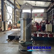 Submersible Slurry Pump for Handling Corrosive Ash Slurry
