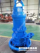 Jetting Ring Electric Pump for Tailings Pond Cleaning