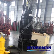 Vertical Electric Pump for Silt and Slurry Removal
