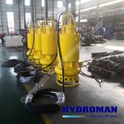 Electric Submersible Pump with Seal Water Jacket Protection