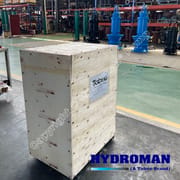 Electric Motor Driven Submersible Slurry Pump Package
