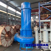 Hydroman Electric Sludge Pump for Paraguay Projects