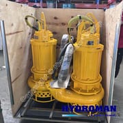 Anti Explosion Submersible Pumps for Underground Operations