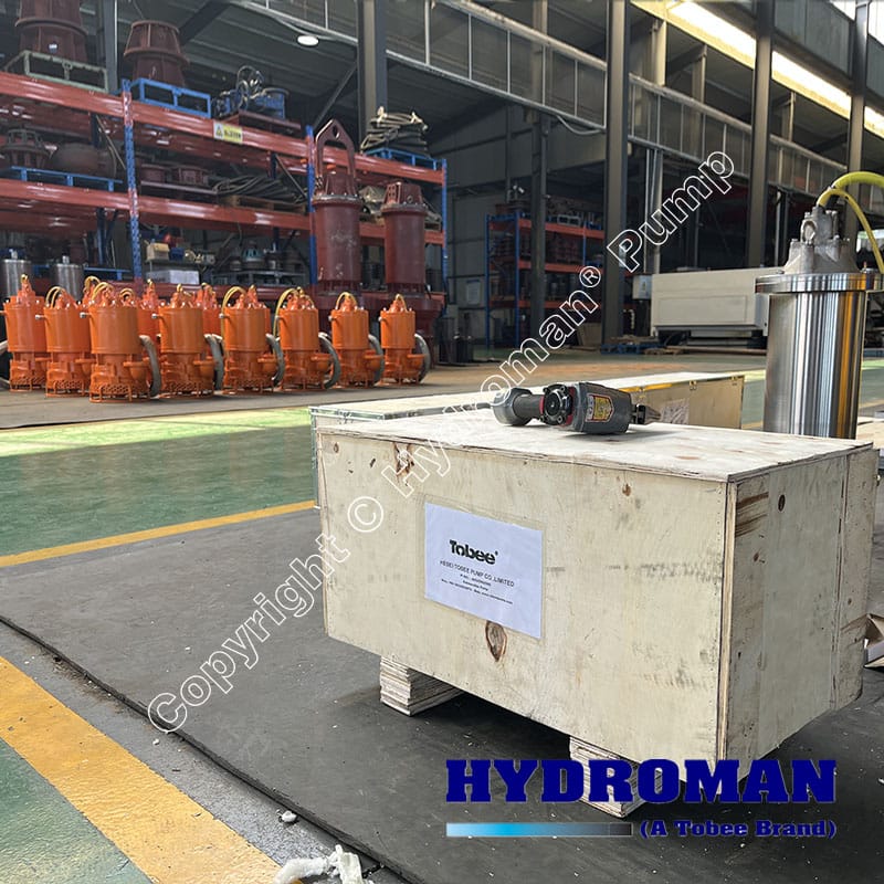 Vertical Electric Sewage Pump Package for Wastewater Treatment
