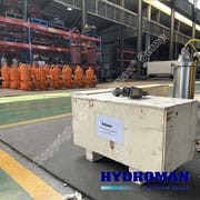 Vertical Electric Sewage Pump Package for Wastewater Treatment
