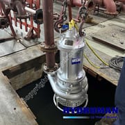 Heavy Duty Electric Submersible Pump with Agitator