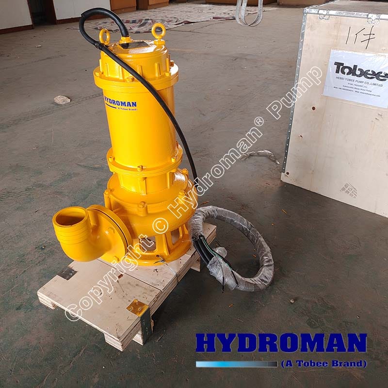 Submersible Sewage Pump for Living Waste Water Discharging