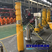 Stainless Steel Vertical Pump for Freshwater Applications