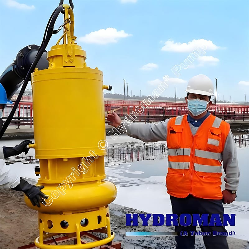 Vertical Submerged Pump for Sand Sediments Removal
