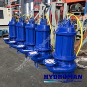 Submersible Drainage Pumps with Agitator for Slurry
