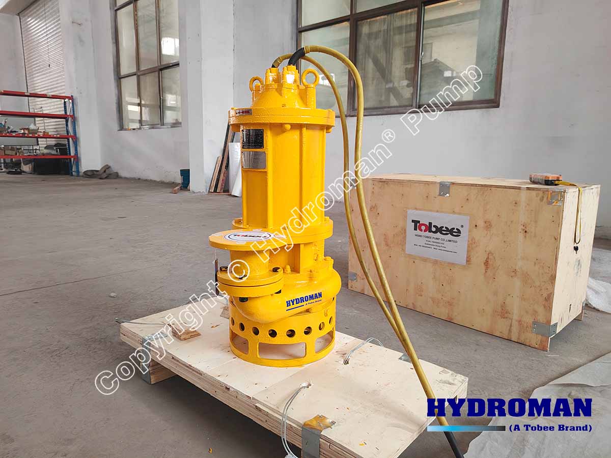 Submersible Slurry Pump with Electric Motor