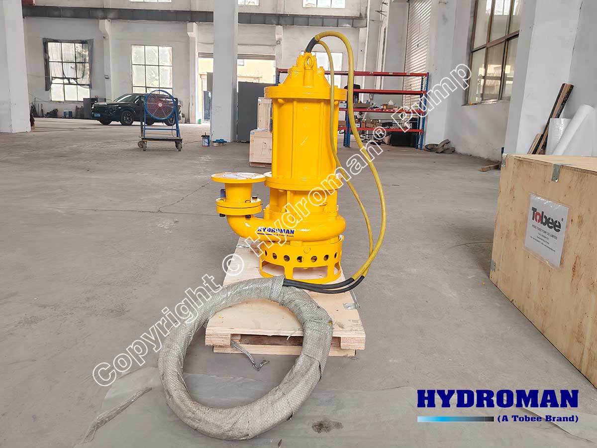 Submersible Slurry Pump with Agitator