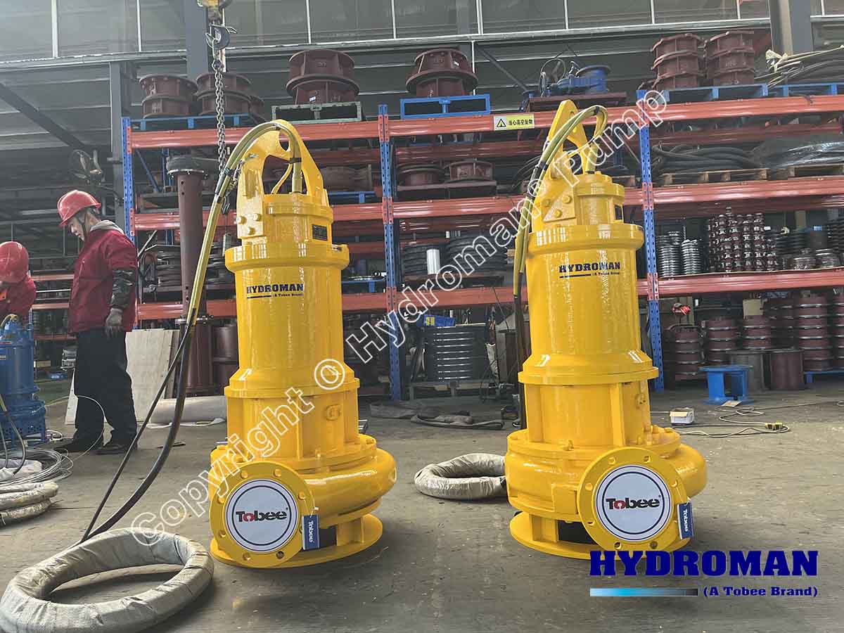 Submersible Sewage Ejector Pumps