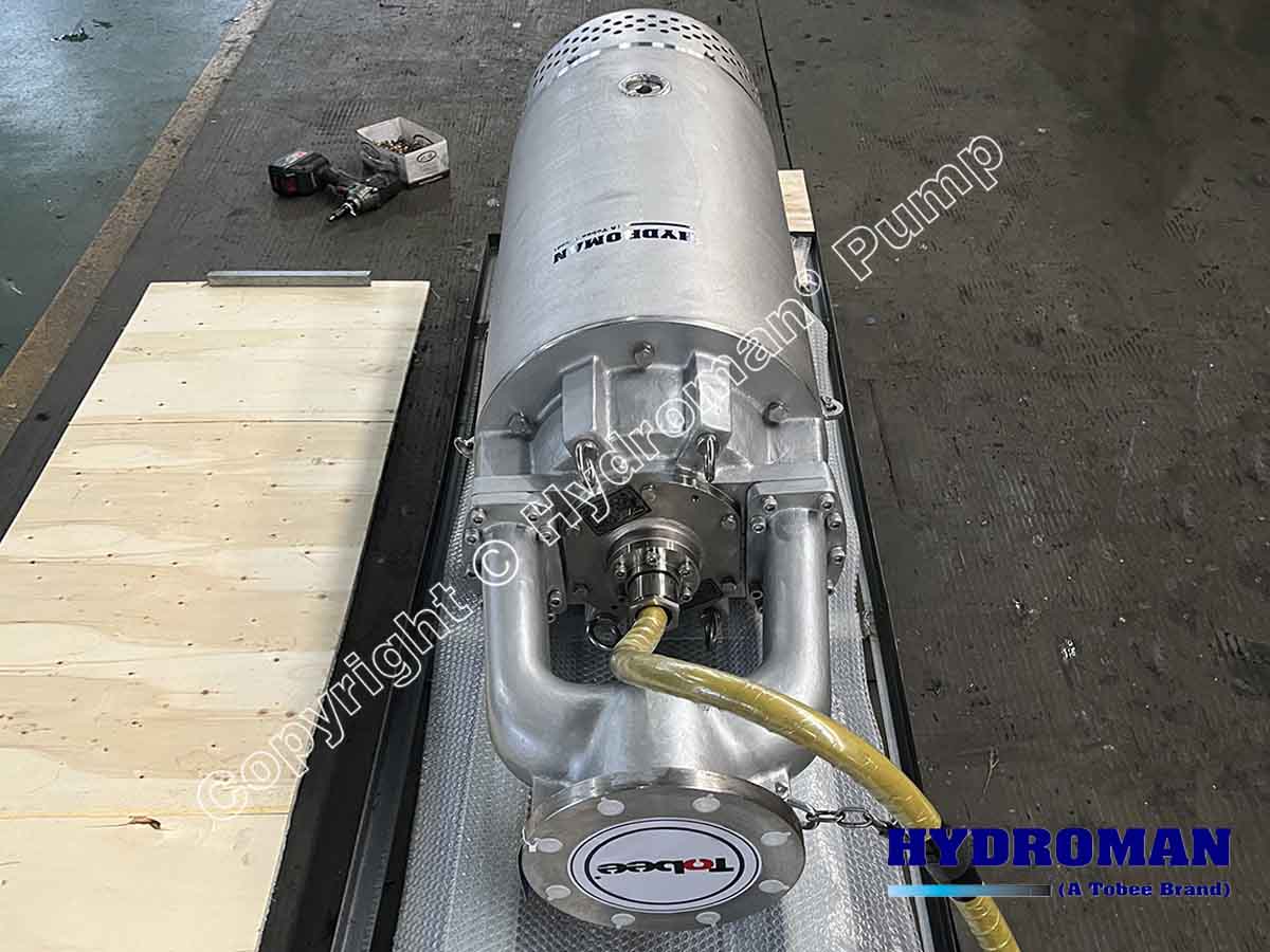 Heavy Duty Submersible Slurry Pump