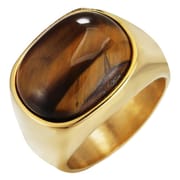 R0117-HK09 foreign trade jewelry simple personality retro Tiger Eye men's titanium steel ring ring