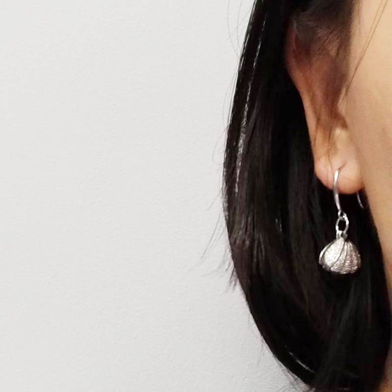 Natural Freshwater Pearl Earrings Opening and Capping Shell Set Zircon Pearl Earrings High Feeling Elegant Ear Hook s925 Silver Hook