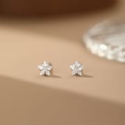 Po S999 Silver Sweet Cool Star Zircon Earrings Women's Cute Exquisite Earrings Small Distinctive Earrings for Hair