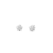 Po S999 Silver Sweet Cool Star Zircon Earrings Women's Cute Exquisite Earrings Small Distinctive Earrings for Hair