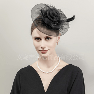 Veil Mesh Fascinator