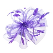 Bridal Veil Hair Accessories Wedding Topper Head Flower Photo Photo Feather Mesh Headwear Accessories for Girls Party