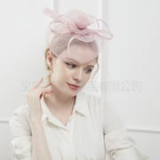European and American Taro color medium net top hat bride Photo headdress gauze feather top hat banquet temperament all-match top hat