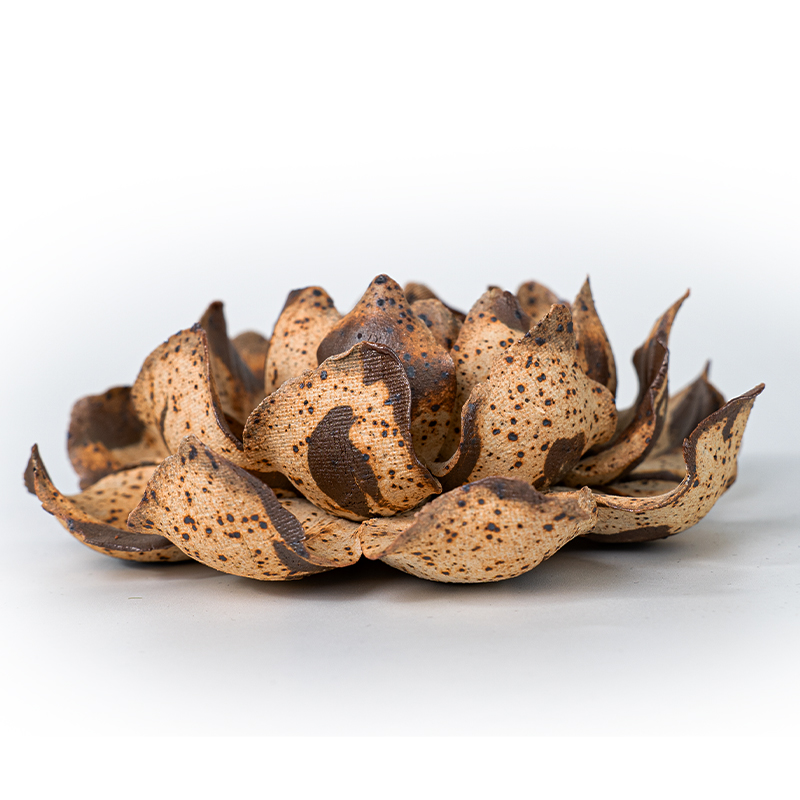 [Moon Soil Flower Series] Intangible Cultural Heritage Handmade Lotus ...