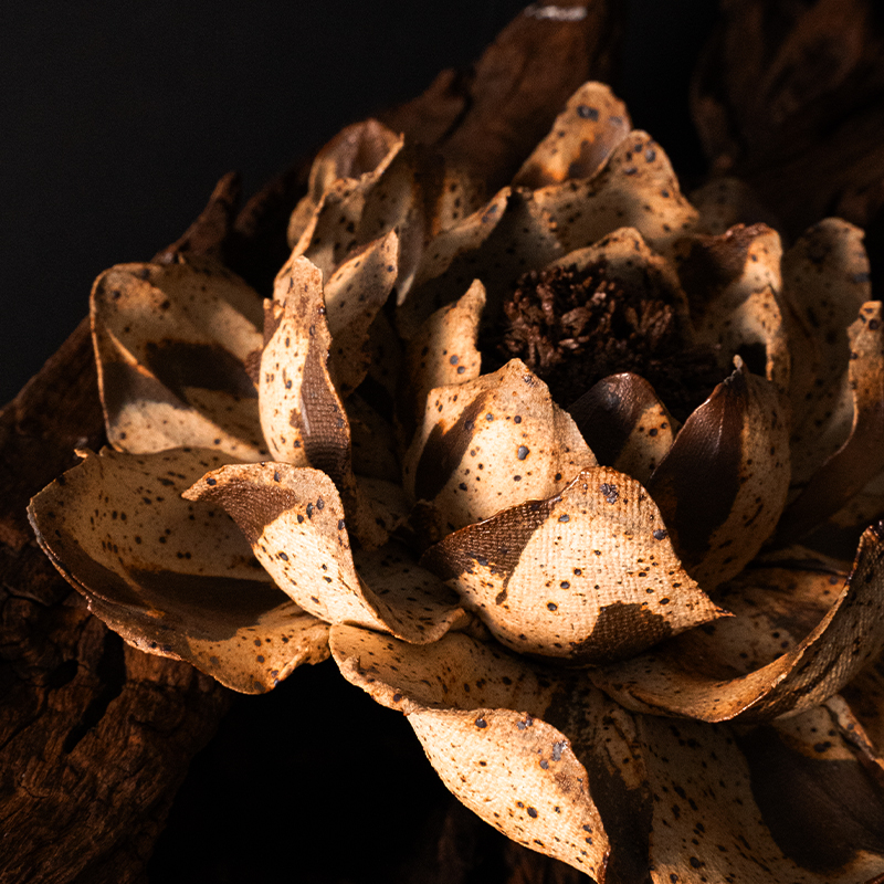 [Moon Soil Flower Series] Intangible Cultural Heritage Handmade Lotus ...