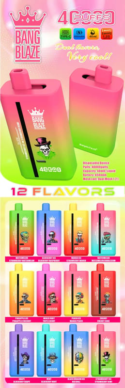 BANGBLAZE40000 12FLAVORS DSK041