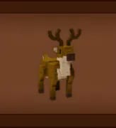 Reindeer