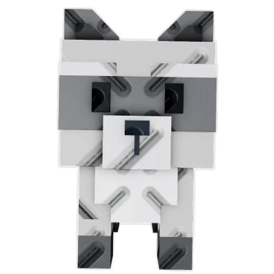 Raccoon