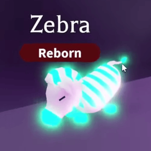 1 Zebra; Variant: NFR