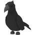 Crow