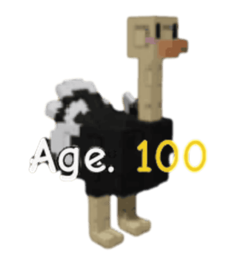 1 item; Age 100 Ostrich