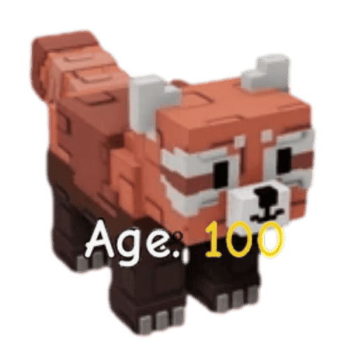 1 item; Age 100 Red Panda